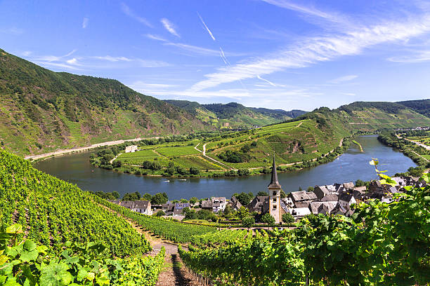 Nature & Vignoble mosellan